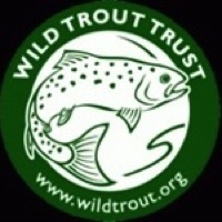 Harrogate Fly Fishers Club -WTT report