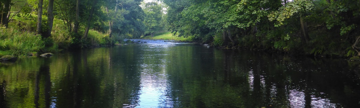 Harrogate Flyfisher's Club - a fsvourite pool